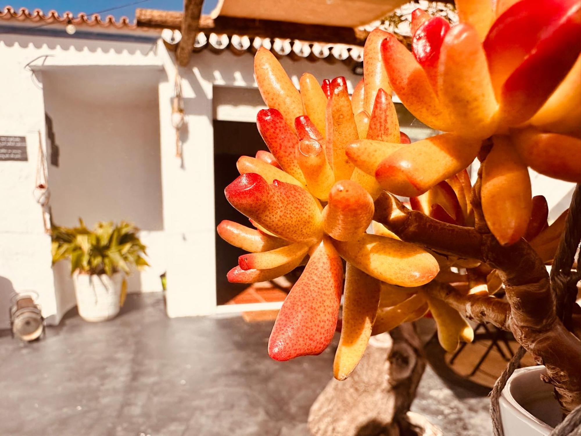 Villa Refugio Do Frade São Pedro do Corval Esterno foto